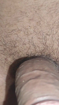 O Feromônio Masculino Da Glande Atrai Moscas.