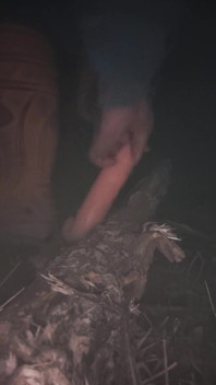 Self Fucked