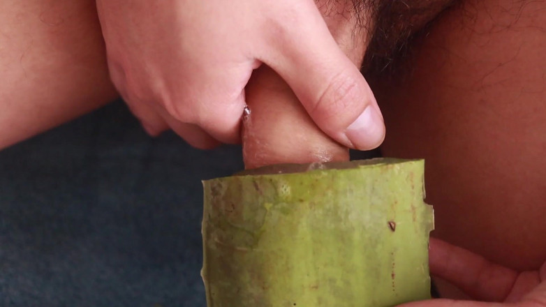 MGEc21: Aloe Vera와