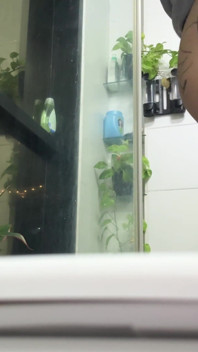 Giant Farts in Tiny Human's Face, POV
