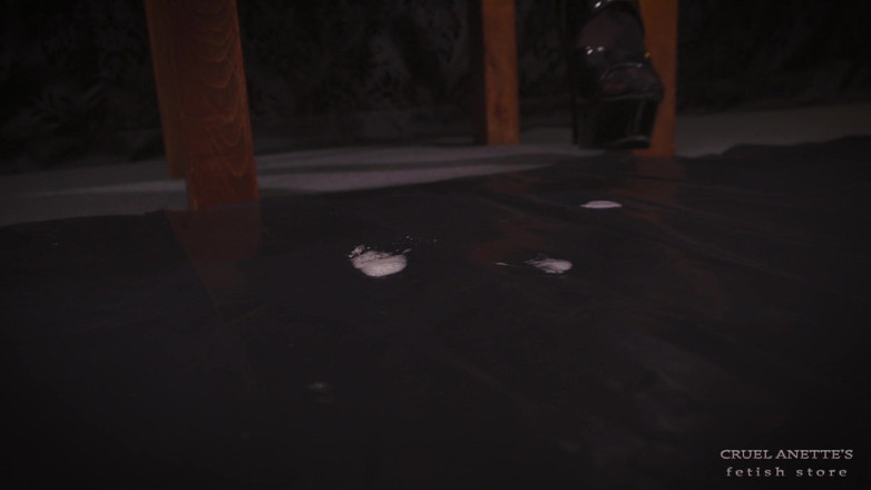 Cruel Anettes fetish world: POV - Cleaning Day