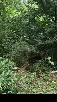 While Hiking I Saw a Stranger Tied up at a Cum Station, I Gave Him a Handjob