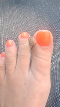 A Magical Star Using My Flexible Toes;)