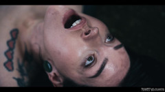 Plants vs Cunts: Kniha kletby