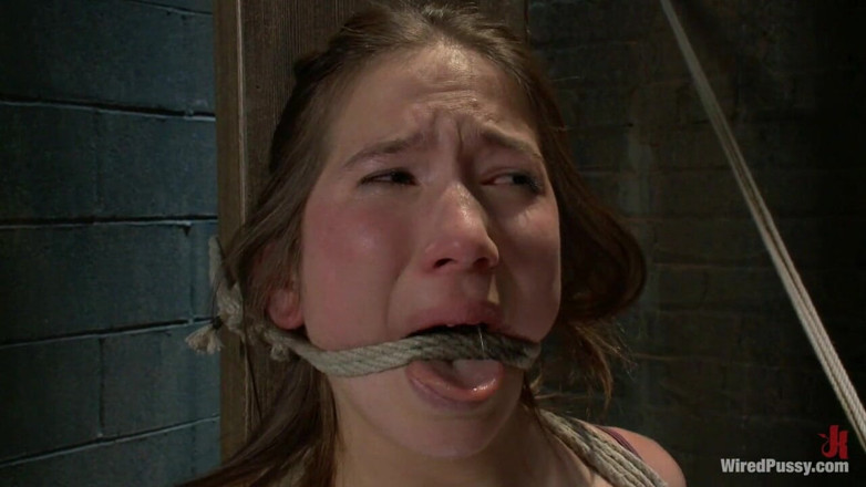 Wired Pussy by Kink: Good Puppy