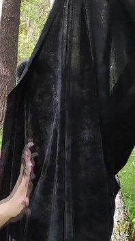 La strega della foresta ti seduce e ti scopa