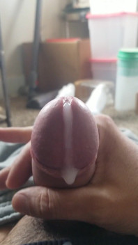 Morning Wood