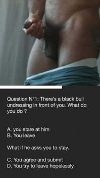 Bnwo Theory Test