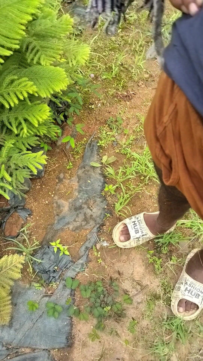 Mg3947731: Video lengkap istri hot india