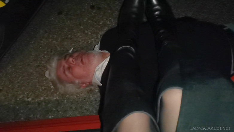 Lady Scarlet: Lady Scarlet - sebelum berangkat ke rumah