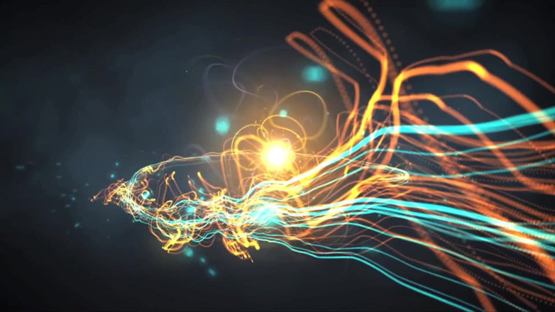 Spizoo: Трусики не допускаются