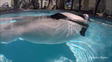 BBW Pleasures: SSBBW floating in pool