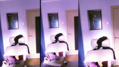 FinDom Goaldigger: ASMR, rouge à lèvres et mini-gâteau en train de manger