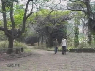 Just Boys: Falls n गेंदों 8