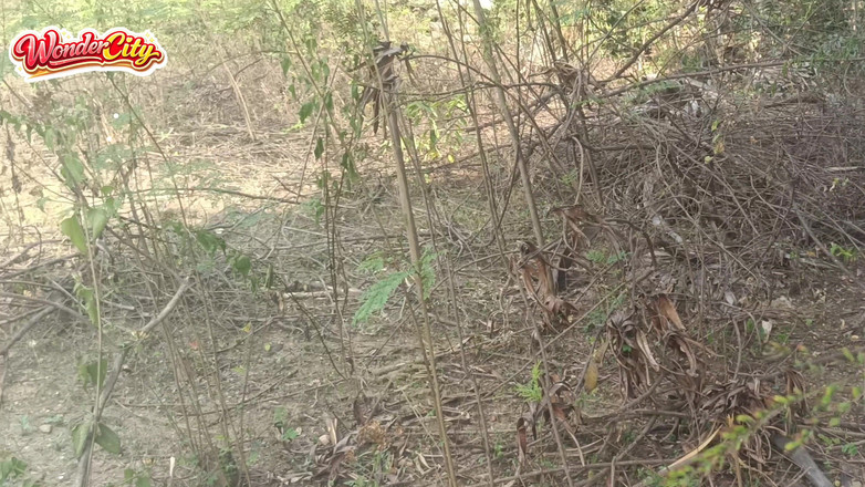 Inba: Những khoảnh khắc gợi cảm bất ngờ với chị kế