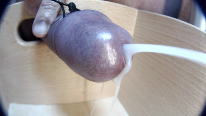Gaylectrician: Close up cumshot 21-11-12