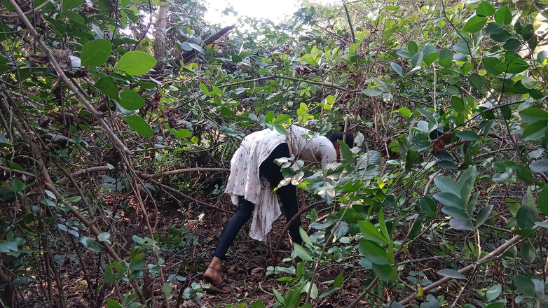 xxxSejal: 德西美丽的热哥丛林主性爱kiya out dorsex