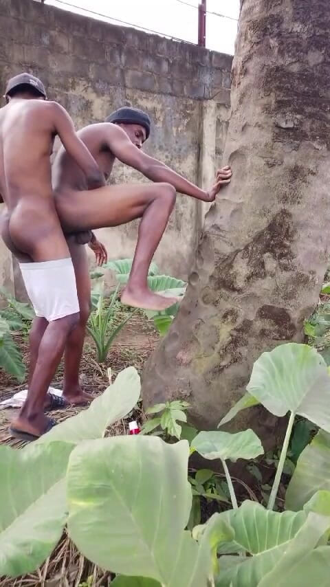 Sexydaddy: Dos pastores africanos teniendo sexo en el arbusto