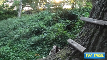 Eva Engel: Nua na floresta