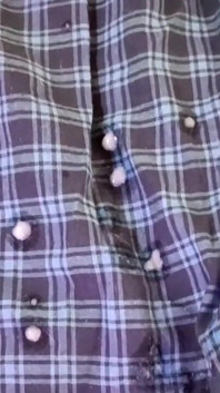 I cum on my underwear, then wear them to the university and then cum again smelling them