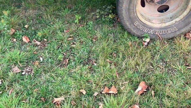 sweethanajapanese: वह कार में बालों वाली चूत खोलती है फिर बाहर पेशाब करती है