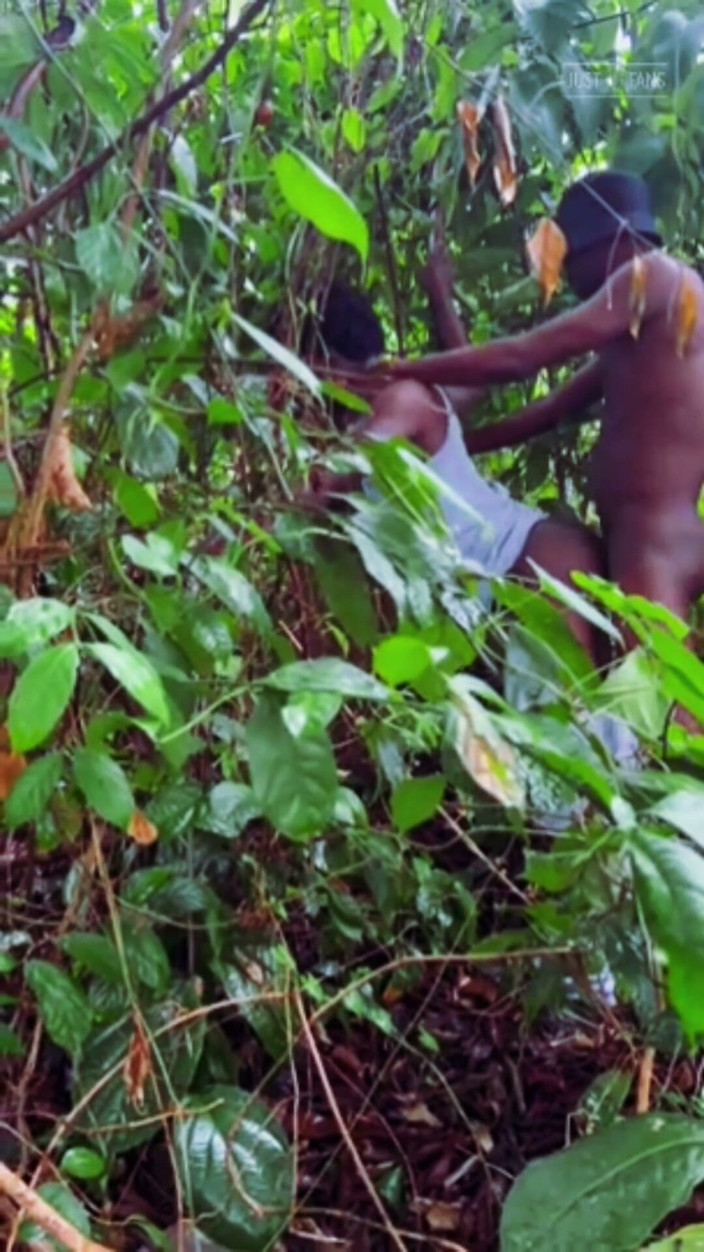 Sesydiva: Fucking Under the Forest Tree Is Best Experience.