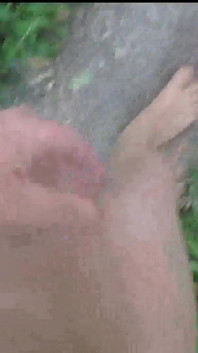 jangal ke pahaar par chaddi men chalna