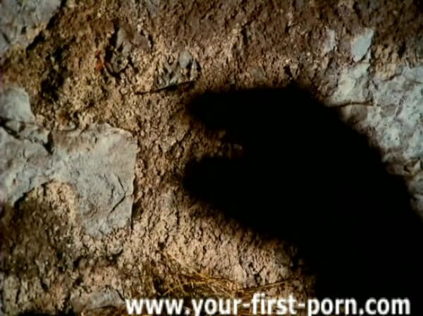 GERMAN PORN CLASSICS: Naked and Kess at the Koenigssee - Duke videos - DVD