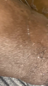 Meat Teaser