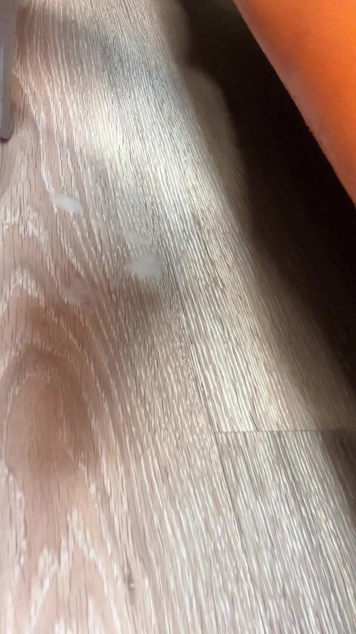 Morflot24: Twink的大鸡巴之旅