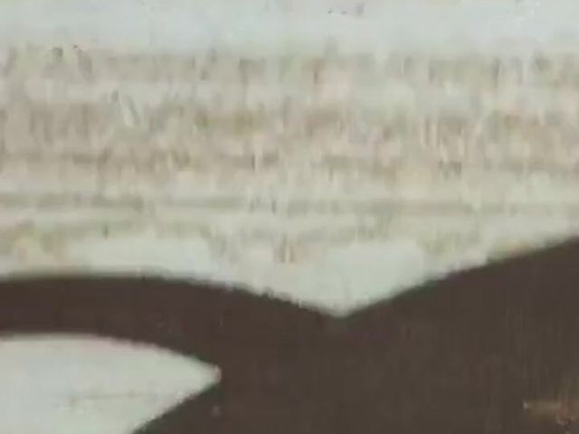 Sweet Dick (Z Z BG)