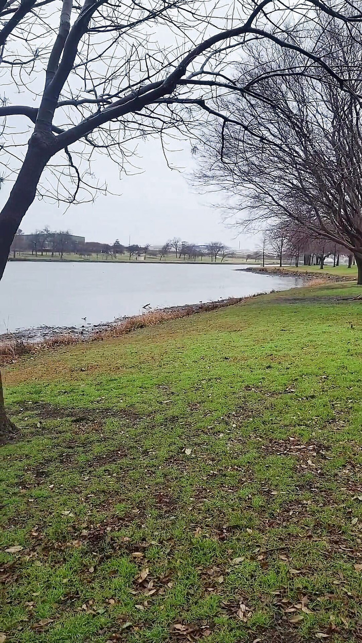 UrethralSound: ザーメン付きダラスのホテルの浴槽に2つの尿道バイブレーター