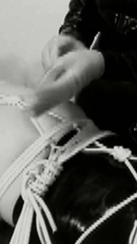 ドイツ支配 0300