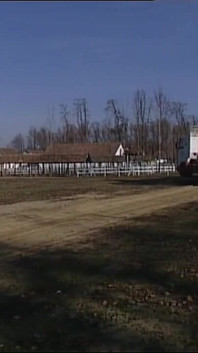 Wspaniała nastolatka zerżnięta i cummed w ustach przez napalonego truckera monster cock