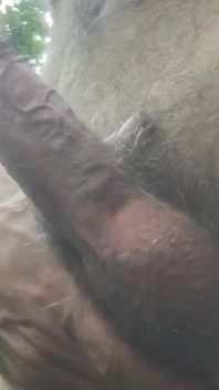 Outdoor Masturbation in the Wood, Hairy Big Dick