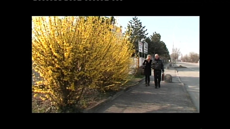 69 Italian District: Нелегітимна падчерка