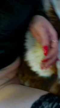 Pussy Fuck with Deep Oral