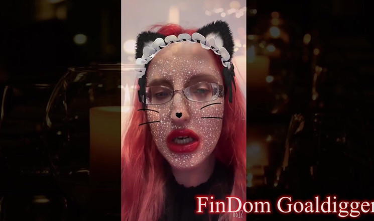 FinDom Goaldigger: 猫人妖公主改造