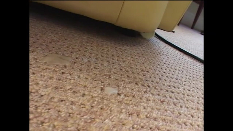 BLOW-ME: La Puerca Chupa Polla