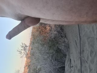 Ttc2021: 在马斯帕洛马斯的沙丘上赤身裸体行走