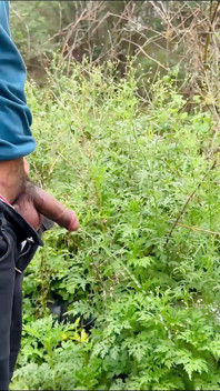 Indyjska piękna przyrodnia siostra wyjęta na zewnątrz i ostro zerżnięta, gdy była sama w samochodzie