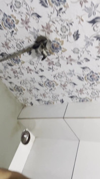 Sex ve sprše s přítelem na záchodě