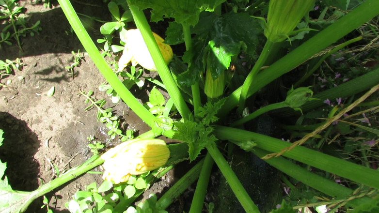 SexyAnka: V přírodě od roztomilé dámy