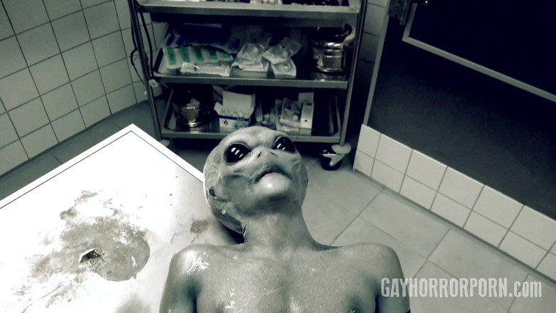 Gay Horror Porn: Gay Horror Porn 2 Ufo From Roswell (gay Edition)