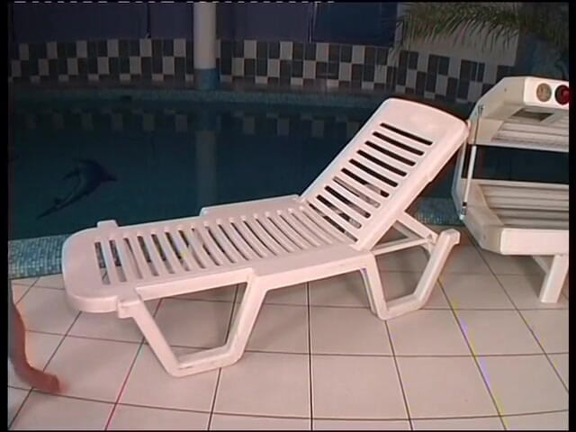 Lucky Cooch: O tipă brunetă sexy este futută anal de piscină