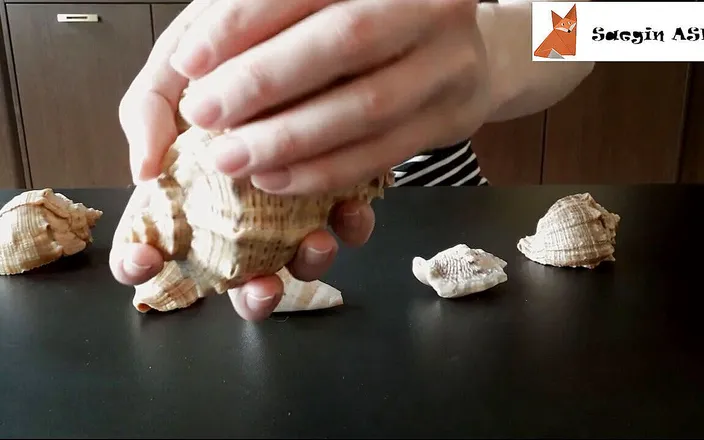 Saegin: 1[ASMR] Rubbing together and scratching seashells (no talking)