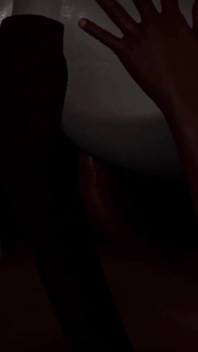 Dame d tittenfick