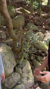 Descubiertos Follando Un El Rio Por La Vecina.
