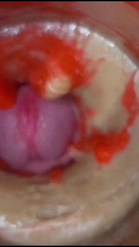 Compilação Creampie Parte 2 POV