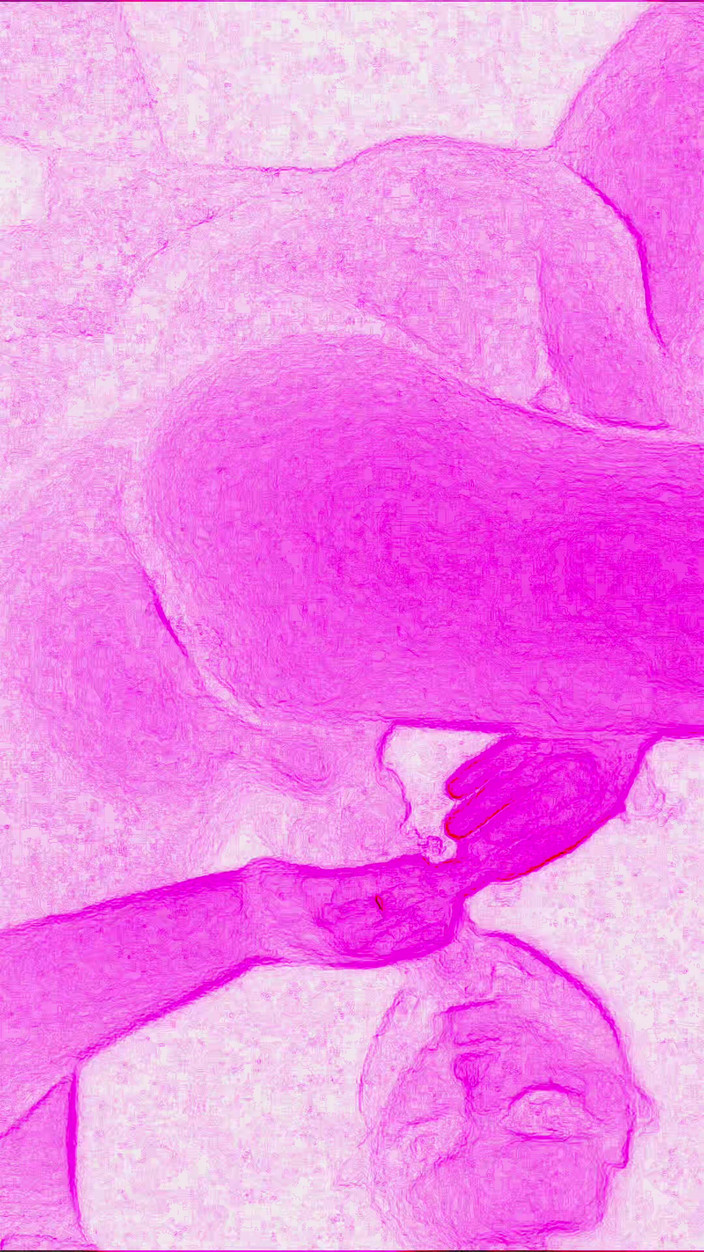 Lily & Theo: Cinsel bir karşılaşma sevinçle ilgili, o kadar yoğun ve vahşidir...